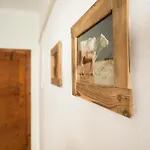 Gjaid-alm 1739m Am Dachstein-only Accessible By Cable Car 3*