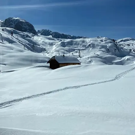 Gjaid-alm 1739m Am Dachstein-only Accessible By Cable Car 3*