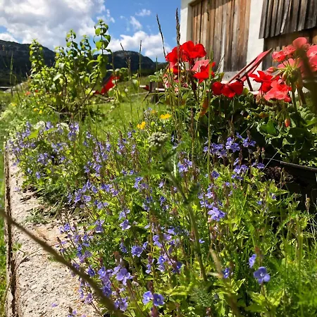Gjaid-alm 1739m Am Dachstein-only Accessible By Cable Car 3* אוברטראון