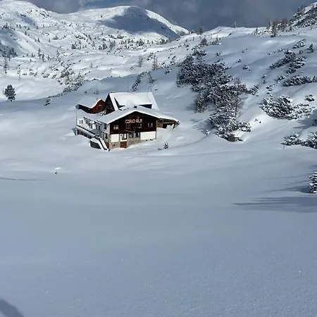 Gjaid-alm 1739m Am Dachstein-only Accessible By Cable Car 3*