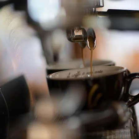 Gjaid-alm 1739m Am Dachstein-only Accessible By Cable Car Hotell 3*