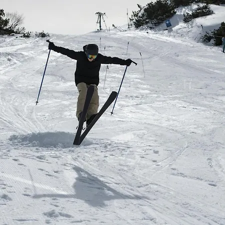 Gjaid-alm 1739m Am Dachstein-only Accessible By Cable Car Obertraun