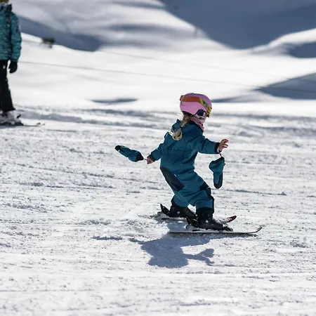 Gjaid-alm 1739m Am Dachstein-only Accessible By Cable Car