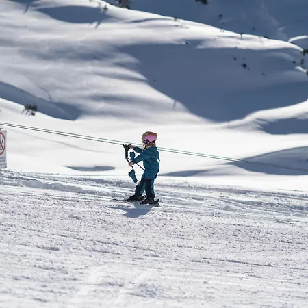 מלון Gjaid-alm 1739m Am Dachstein-only Accessible By Cable Car אוברטראון