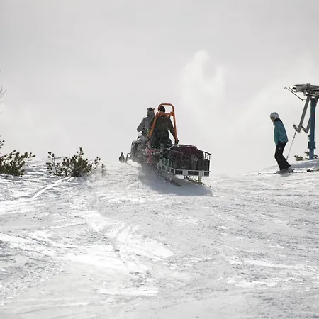 Gjaid-alm 1739m Am Dachstein-only Accessible By Cable Car
