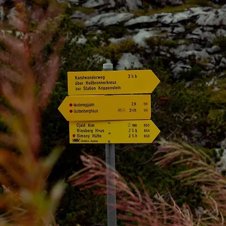 מלון Gjaid-alm 1739m Am Dachstein-only Accessible By Cable Car