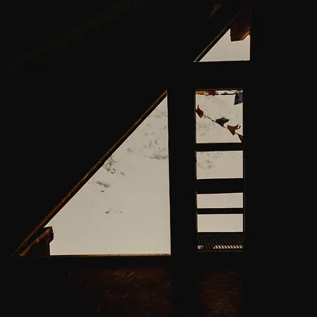 Gjaid-alm 1739m Am Dachstein-only Accessible By Cable Car