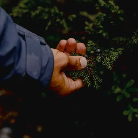 Gjaid-alm 1739m Am Dachstein-only Accessible By Cable Car 3*