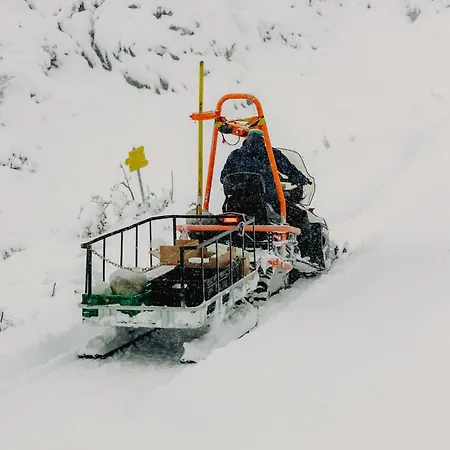 Gjaid-alm 1739m Am Dachstein-only Accessible By Cable Car מלון אוברטראון