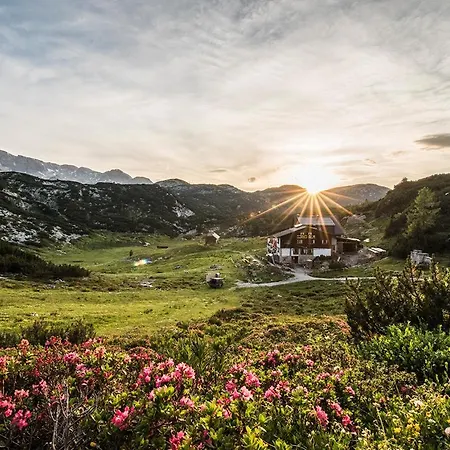 מלון Gjaid-alm 1739m Am Dachstein-only Accessible By Cable Car אוברטראון
