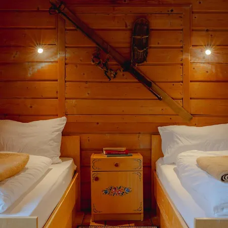 Hotell Gjaid-alm 1739m Am Dachstein-only Accessible By Cable Car 3*