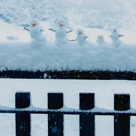 Gjaid-alm 1739m Am Dachstein-only Accessible By Cable Car מלון אוברטראון