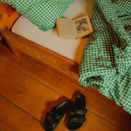 Gjaid-alm 1739m Am Dachstein-only Accessible By Cable Car 3*