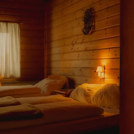 Gjaid-alm 1739m Am Dachstein-only Accessible By Cable Car Hotel