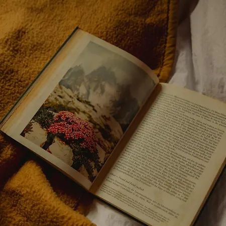 Gjaid-alm 1739m Am Dachstein-only Accessible By Cable Car Hotell