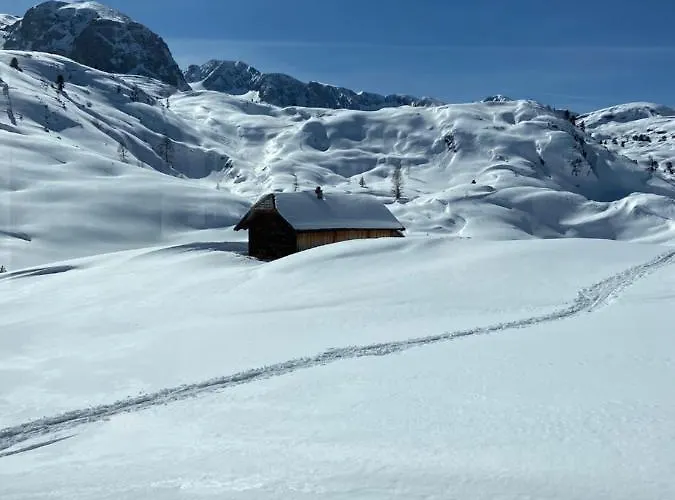 Gjaid-alm 1739m Am Dachstein-only Accessible By Cable Car 3*