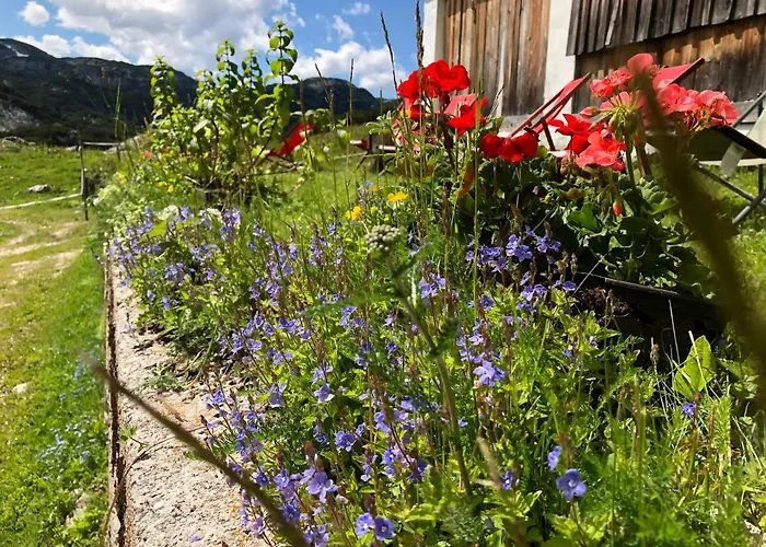 Gjaid-alm 1739m Am Dachstein-only Accessible By Cable Car 3* Όμπερτραουν