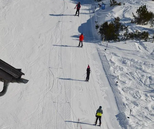 Gjaid-alm 1739m Am Dachstein-only Accessible By Cable Car Hotel