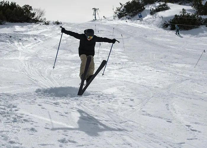 Gjaid-alm 1739m Am Dachstein-only Accessible By Cable Car Obertraun