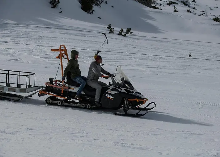 Gjaid-alm 1739m Am Dachstein-only Accessible By Cable Car 호텔