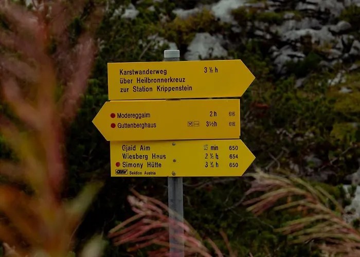 Ξενοδοχείο Gjaid-alm 1739m Am Dachstein-only Accessible By Cable Car