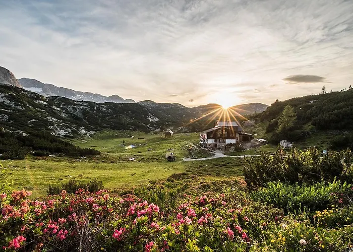 호텔 Gjaid-alm 1739m Am Dachstein-only Accessible By Cable Car 오베르트라운