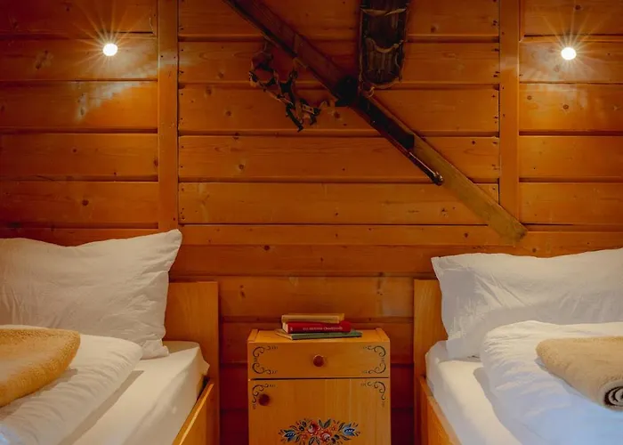 호텔 Gjaid-alm 1739m Am Dachstein-only Accessible By Cable Car 3*