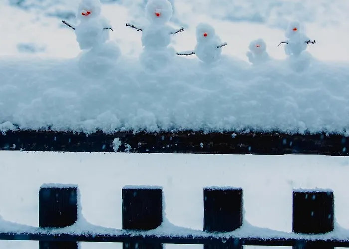 Gjaid-alm 1739m Am Dachstein-only Accessible By Cable Car Hotel Obertraun