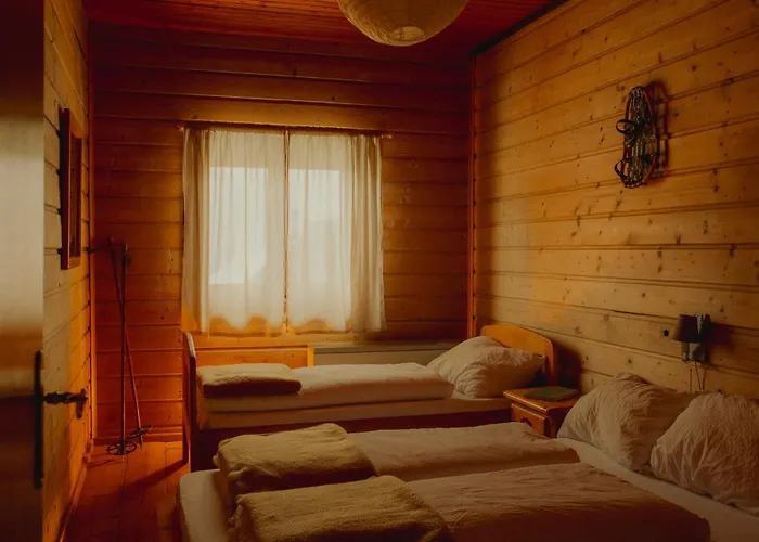 Gjaid-alm 1739m Am Dachstein-only Accessible By Cable Car 3*