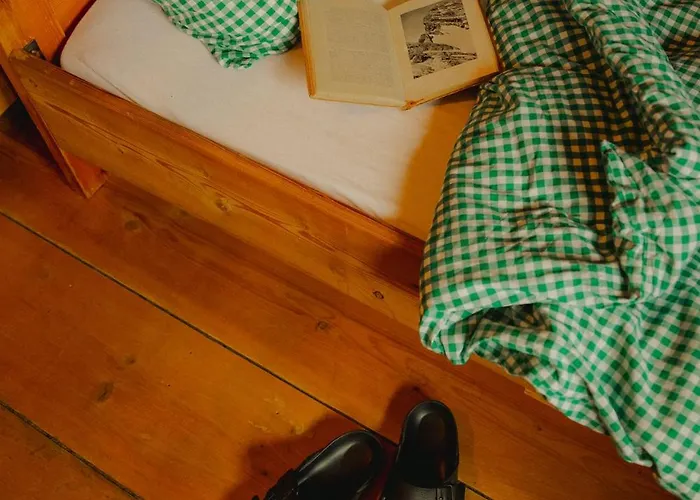 Gjaid-alm 1739m Am Dachstein-only Accessible By Cable Car 3*