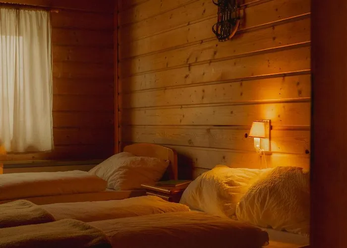 Gjaid-alm 1739m Am Dachstein-only Accessible By Cable Car Hotel