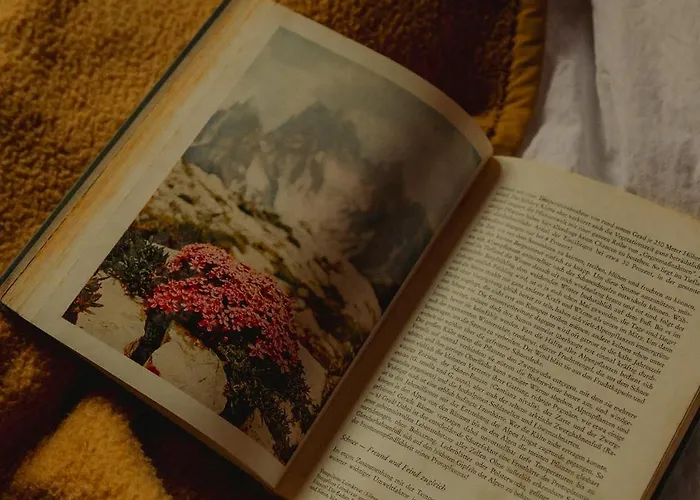 Gjaid-alm 1739m Am Dachstein-only Accessible By Cable Car Hotel