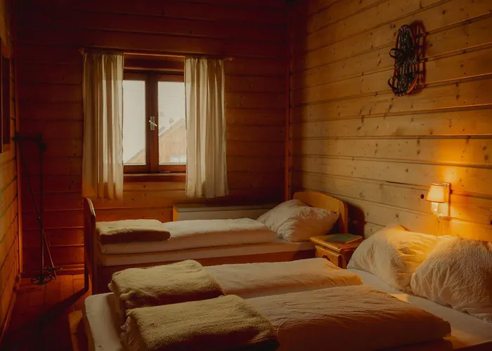 Gjaid-alm 1739m Am Dachstein-only Accessible By Cable Car 3* Όμπερτραουν