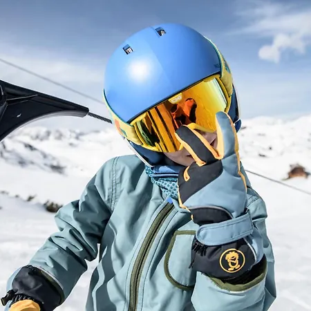 Gjaid-alm 1739m Am Dachstein-only Accessible By Cable Car Otel