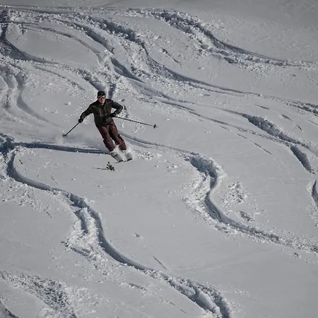 Gjaid-alm 1739m Am Dachstein-only Accessible By Cable Car 3*