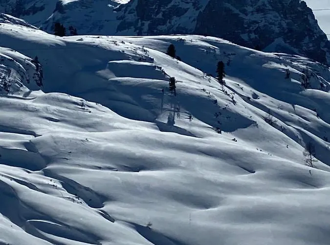 Gjaid-alm 1739m Am Dachstein-only Accessible By Cable Car 3*