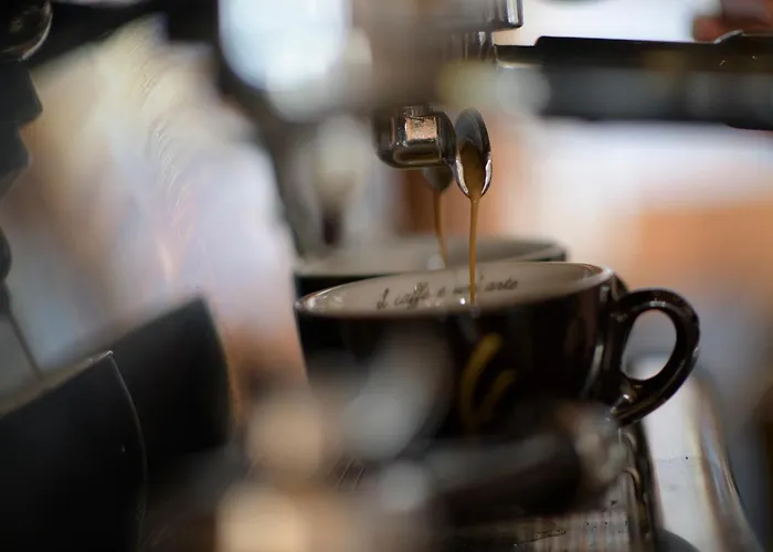 Gjaid-alm 1739m Am Dachstein-only Accessible By Cable Car Otel 3*