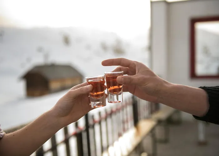 Otel Gjaid-alm 1739m Am Dachstein-only Accessible By Cable Car 3*