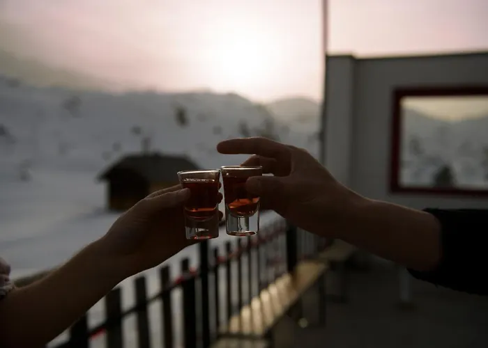 Gjaid-alm 1739m Am Dachstein-only Accessible By Cable Car