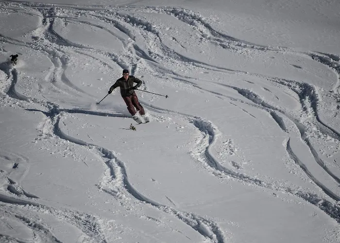 Gjaid-alm 1739m Am Dachstein-only Accessible By Cable Car 3*