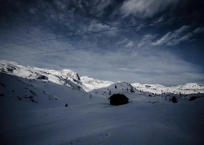 Gjaid-alm 1739m Am Dachstein-only Accessible By Cable Car 3* Obertraun