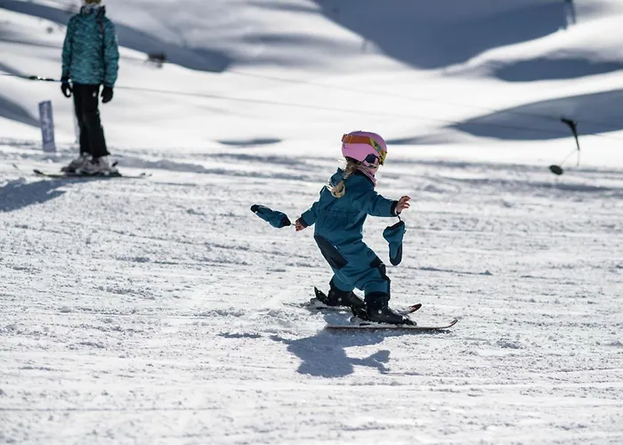 Gjaid-alm 1739m Am Dachstein-only Accessible By Cable Car
