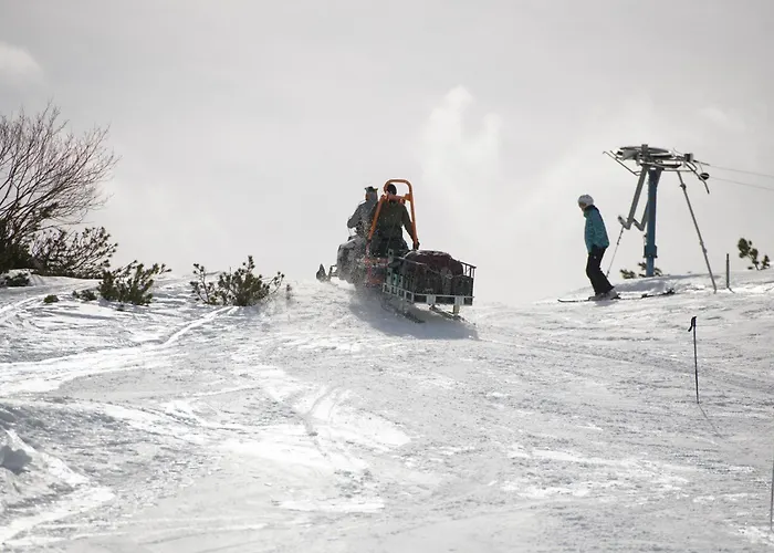 Gjaid-alm 1739m Am Dachstein-only Accessible By Cable Car
