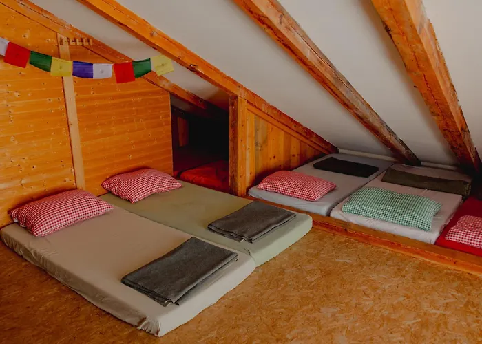 Gjaid-alm 1739m Am Dachstein-only Accessible By Cable Car 3* Obertraun