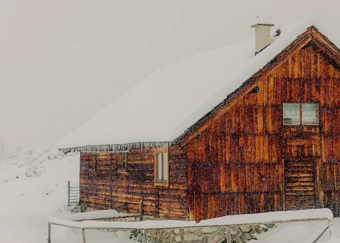 Gjaid-alm 1739m Am Dachstein-only Accessible By Cable Car Otel 3*