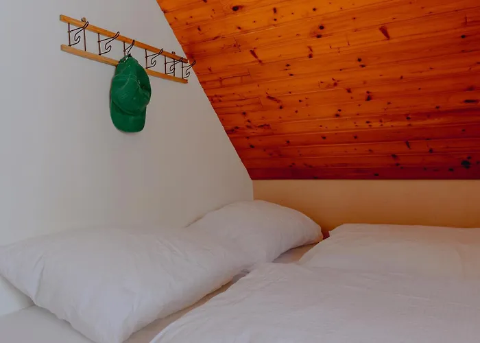 Gjaid-alm 1739m Am Dachstein-only Accessible By Cable Car Hotel 3*